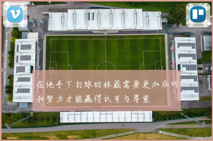 在他手下打球的林葳需要更加乖巧和努力才能赢得认可与尊重